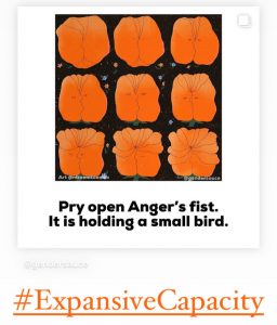 anger as bird