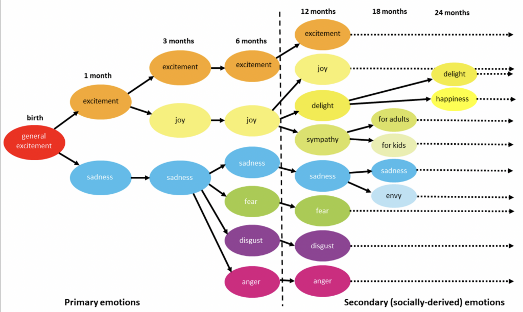 ontogenesis of individual primary and secondary emotions